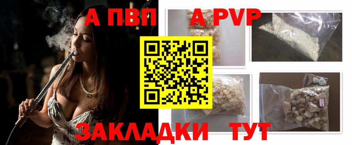 Альфа ПВП СК Аргун