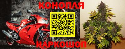 дживик Аргун