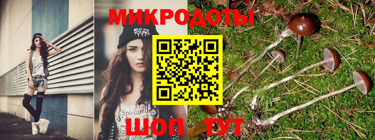 Галлюциногенные грибы прущие грибы Аргун